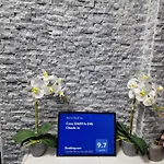Casa Darya-24h Check-in