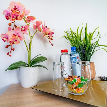 Casa Darya-24h Check-in