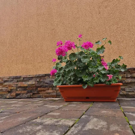 Casa Darya-24h Check-in