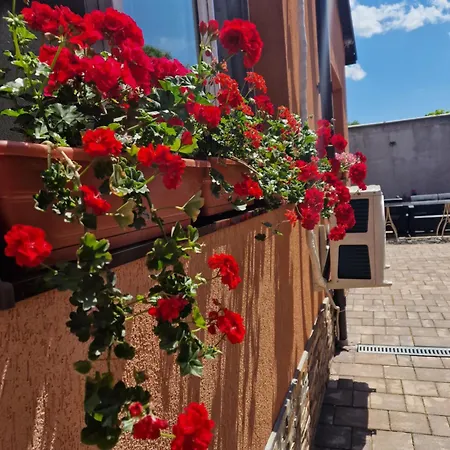 Casa Darya-24h Check-in Бухарест