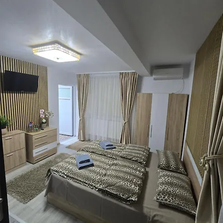 民宿 Casa Darya-24h Check-in 布加勒斯特