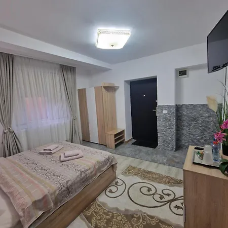 Kwatera prywatna Casa Darya-24h Check-in Bukareszt