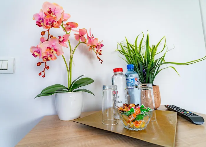 Casa Darya-24h Check-in