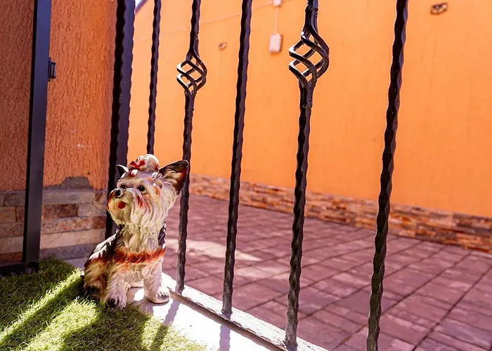 Casa Darya-24h Check-in Homestay szállás