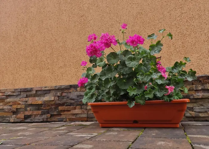 Casa Darya-24h Check-in