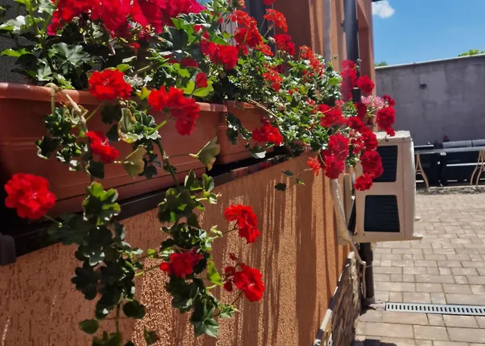 Casa Darya-24h Check-in Bukarest