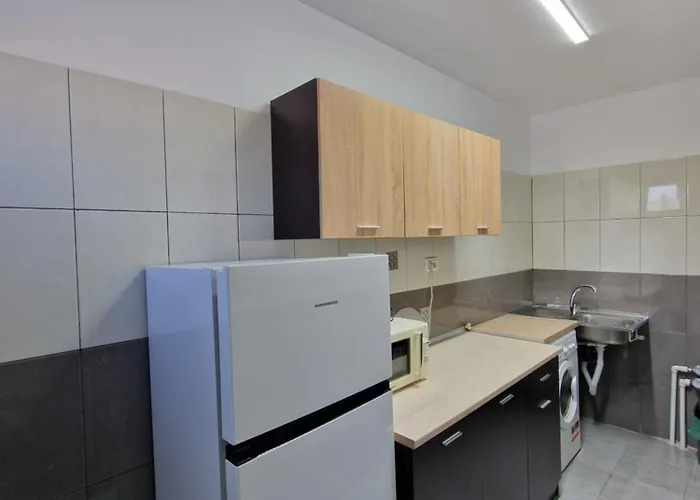 Homestay Casa Darya-24h Check-in Bucharest