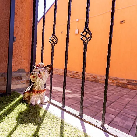 Casa Darya-24h Check-in Проживание в семье